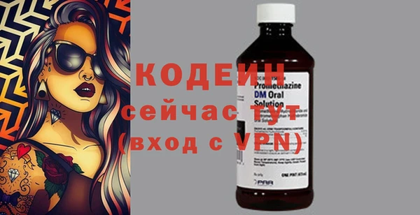 сатива Каменка