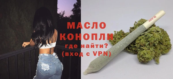 сатива Каменка