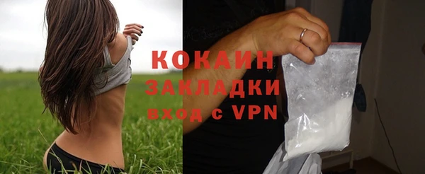 сатива Каменка