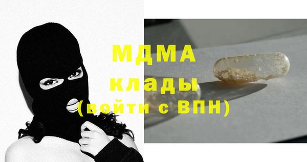 сатива Каменка