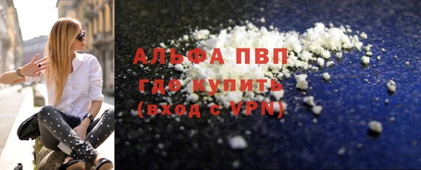 сатива Каменка