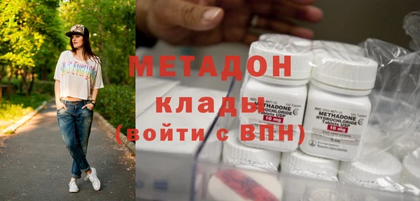 сатива Каменка