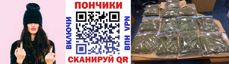 Бошки Шишки индика Дигора